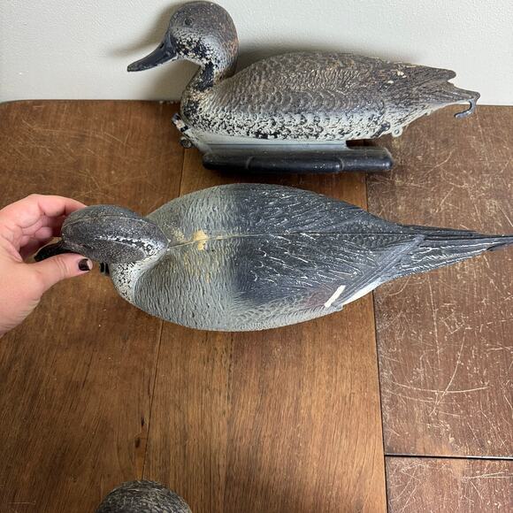 Carry Lite Duck Decoy Pintail Ducks Plastic Made In Italy 2 Hens 1 Drake - Picture 16 of 16
